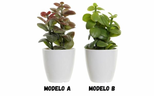 Planta PP gres 9,8x8x18.