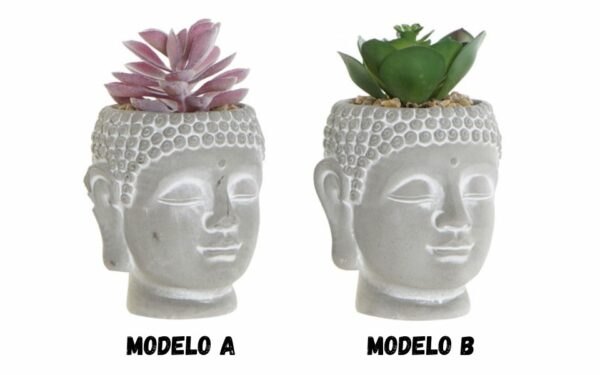 Planta cemento PE 8,5x8,5x14 Buda.