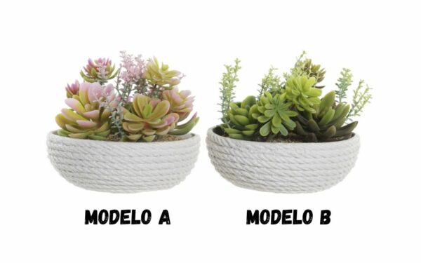 Planta PE EVA 17x17x14.