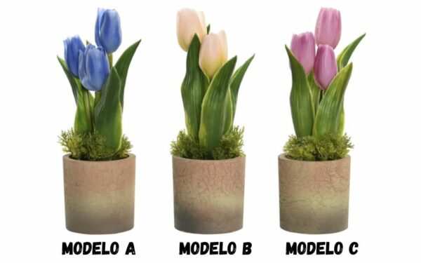 Planta PP espuma 12x12x25.