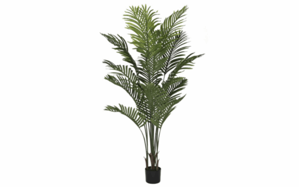 Palmera decorativa verde con maceta de cemento – 160 cm