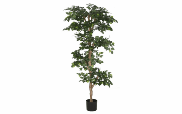 Planta decorativa Ficus verde – 150 cm