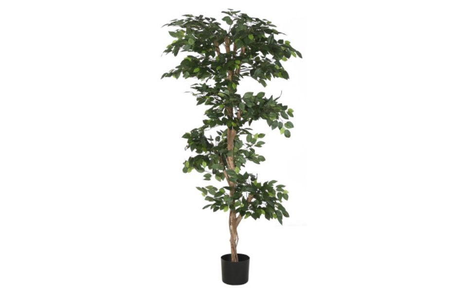 Planta decorativa Ficus verde – 150 cm